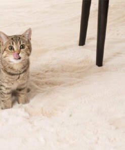 Fluffy rug - Comfy plus cream