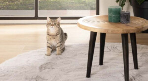 Round grey rugs