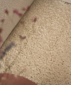 Thick oval rug​ - Shaggy Trend cream - close up, thumbnail
