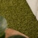 Runner rug thick - Shaggy Trend green - close up, thumbnail