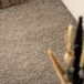 Runner rug thick - Shaggy Trend light grey - close up, thumbnail