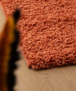 Thick rug - Shaggy Trend terracotta - close up, thumbnail