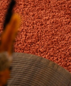 Thick rug - Shaggy Trend terracotta - close up, thumbnail