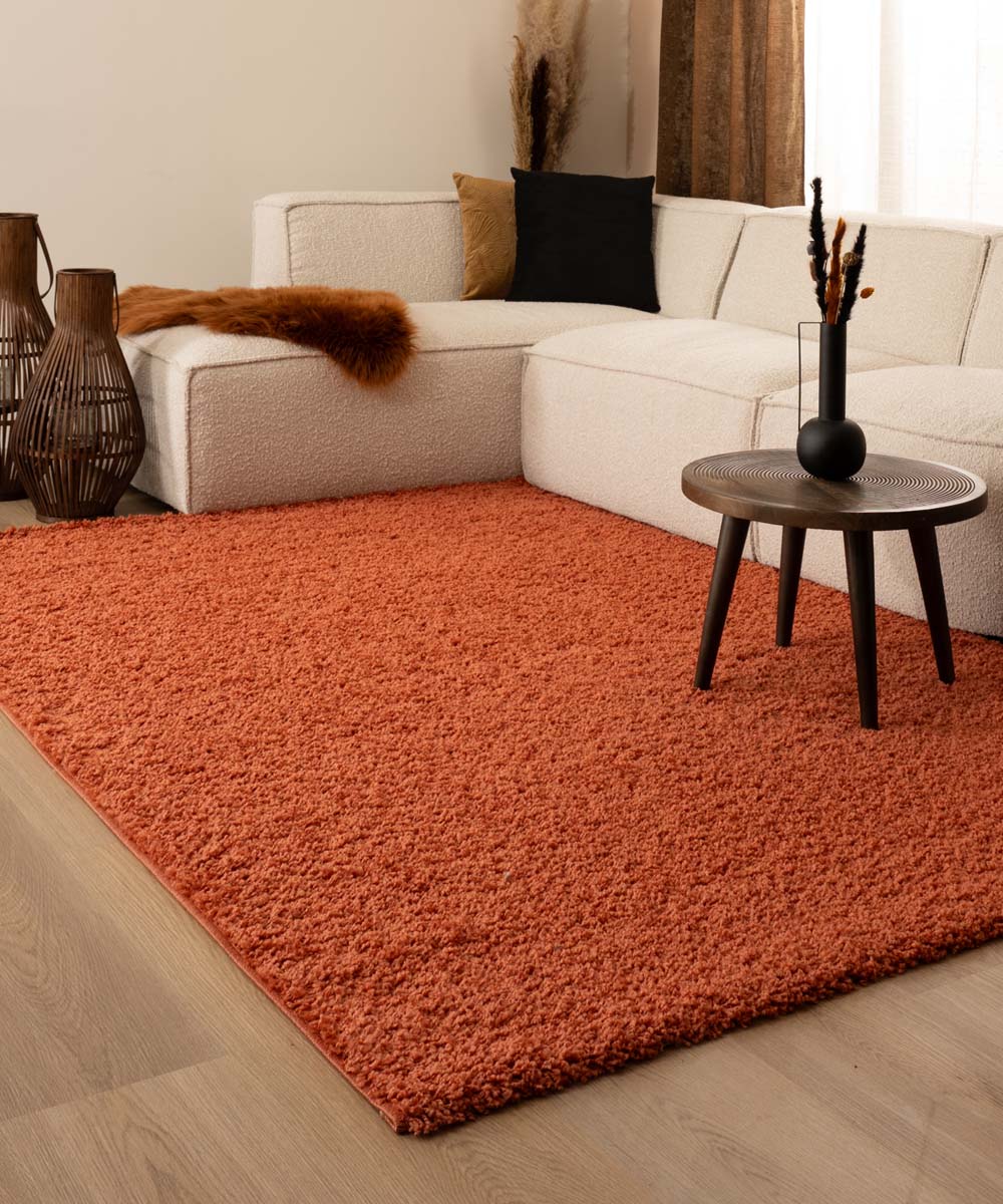 Thick rug - Shaggy Trend terracotta - sfeer