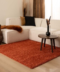 Square thick rug - Shaggy Trend terracotta - sfeer, thumbnail