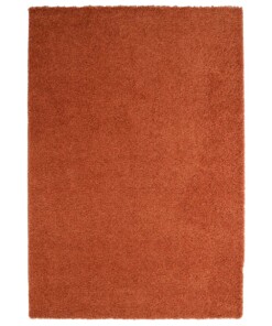 Thick rug - Shaggy Trend terracotta - overzicht