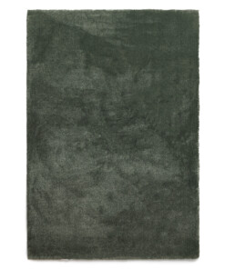 Washable rug - Clean Prestige green - overzicht